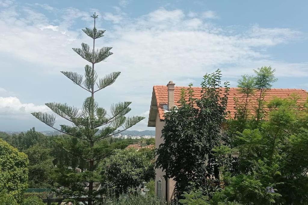 Claelle Appartment - 200M Beach Mandelieu La Napoule Bagian luar foto